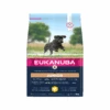 Eukanuba Dog – Growing Puppy – Large Breed 1 Eukanuba Dog – Growing Puppy – Large Breed -Katten Honden Benodigdheden Winkel bPSIfvomfo0LoPyyeDbtEtSYffHm0H metaRXVrYW51YmEtRG9nLS0tRGV2ZWxvcGluZy1KdW5pb3ItLS1MYXJnZS1CcmVlZC5wbmc