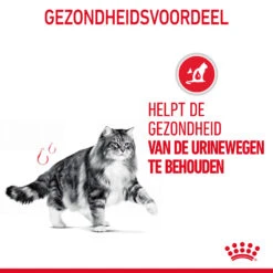 Royal Canin Urinary Care In Gravy - Kattenvoer -Katten Honden Benodigdheden Winkel bQ4DfuNB3UTwRZ1lnPBpZrXOtehvVK metaUm95YWwtQ2FuaW4tVXJpbmFyeS1DYXJlLWluLUdyYXZ5XzA0LmpwZw