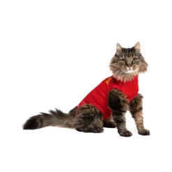Medical Pet Shirt Kat 19 Medical Pet Shirt Kat -Katten Honden Benodigdheden Winkel bae7103af930f7accbfa5d3ac607aa83f79f7fed61add31d1cb714d46a1ec74a 4
