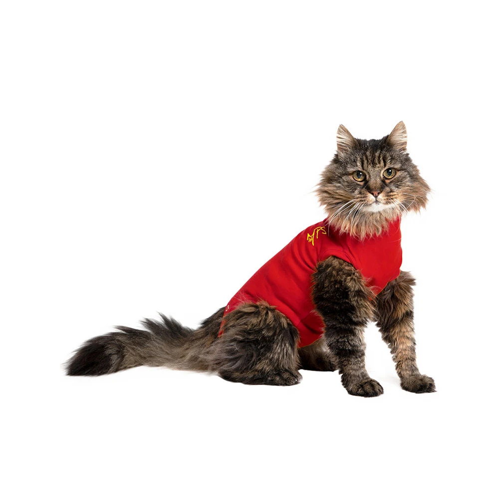 Medical Pet Shirt Kat 3 Medical Pet Shirt Kat