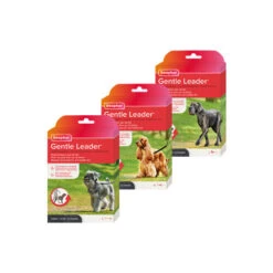 Beaphar Gentle Leader -Katten Honden Benodigdheden Winkel beaphar gentle leader 210173 0500 none