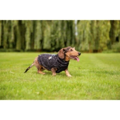 Beeztees Hondentrui Celia -Katten Honden Benodigdheden Winkel beeztees hondentrui celia 219140 2000 none