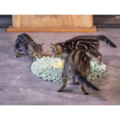 Beeztees Kitten Snuffelmat Flowie 10 Beeztees Kitten Snuffelmat Flowie -Katten Honden Benodigdheden Winkel beeztees kitten snuffelmat flowie 216526 2000 none