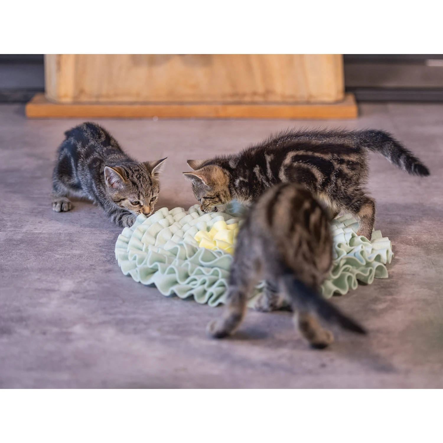 Beeztees Kitten Snuffelmat Flowie 6 Beeztees Kitten Snuffelmat Flowie - Afbeelding 4