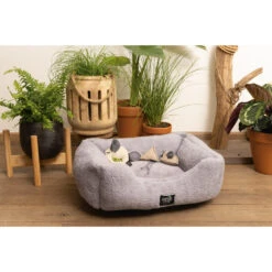 Beeztees Minus One Nox Kattenmand - Lichtgrijs -Katten Honden Benodigdheden Winkel beeztees minus one nox kattenmand lichtgrijs 188100 2000 none