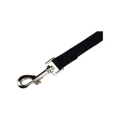 Beeztees Nylon Sliplijn -Katten Honden Benodigdheden Winkel beeztees nylon hondenriem 198527 2000 none