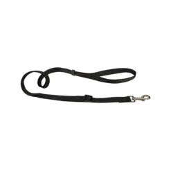 Beeztees Nylon Sliplijn -Katten Honden Benodigdheden Winkel beeztees nylon hondenriem 198530 2000 none