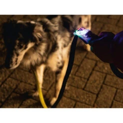 Beeztees Safety Gear Parinca Premium Hondenriem -Katten Honden Benodigdheden Winkel beeztees safety gear parinca premium hondenriem 215036 2000 none