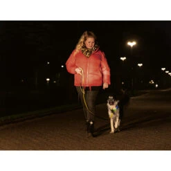 Beeztees Safety Gear Parinca Premium Hondenriem -Katten Honden Benodigdheden Winkel beeztees safety gear parinca premium hondenriem 215042 2000 none