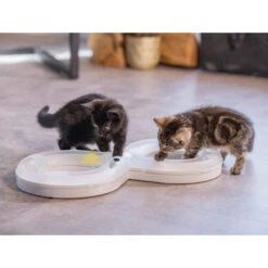 Beeztees Kitten Speelrail Agty 11 Beeztees Kitten Speelrail Agty -Katten Honden Benodigdheden Winkel beeztees speelrail agty 216522 2000 none