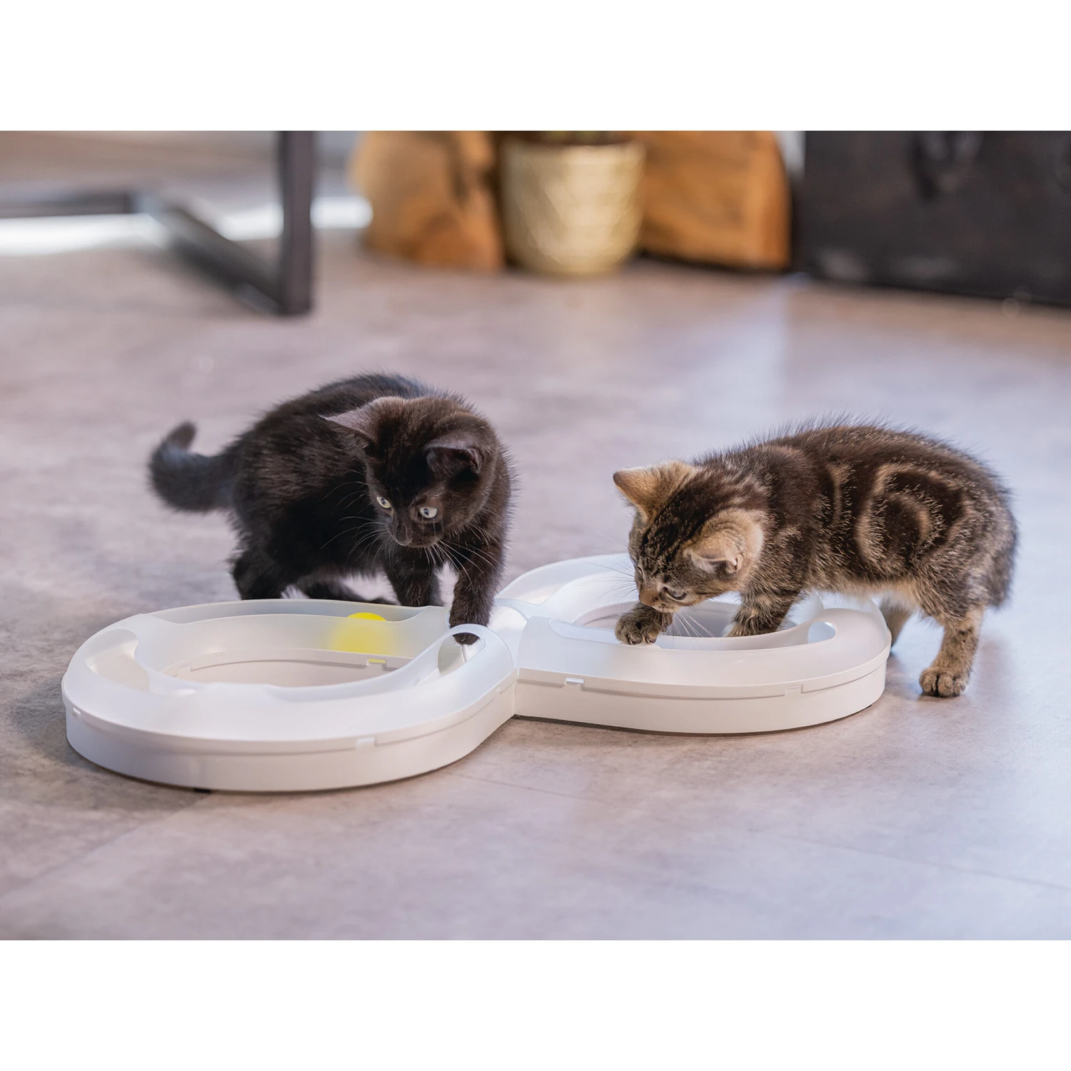 Beeztees Kitten Speelrail Agty 6 Beeztees Kitten Speelrail Agty - Afbeelding 4