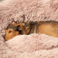 Beeztees Yali Pluche Donutmand 29 Beeztees Yali Pluche Donutmand -Katten Honden Benodigdheden Winkel beeztees yali pluche donutmand 216351 1000 none