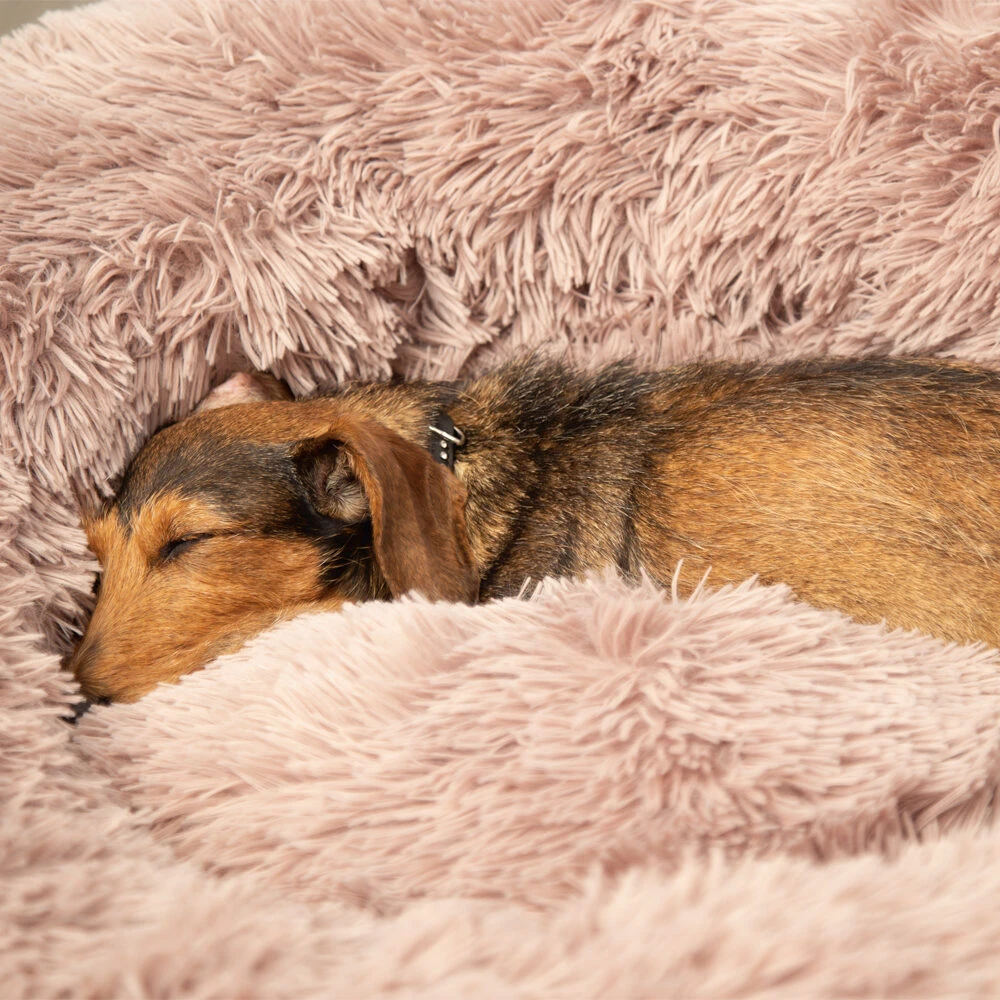 Beeztees Yali Pluche Donutmand 16 Beeztees Yali Pluche Donutmand - Afbeelding 14