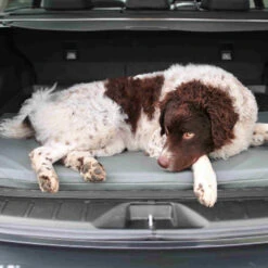 Bia Original Matras Zwart -Katten Honden Benodigdheden Winkel bia original matras zwart 164062 0500 none