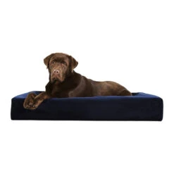 Bia Royal Fluwelen Hoes -Katten Honden Benodigdheden Winkel bia royal fluwelen hoes 102055 0500 none