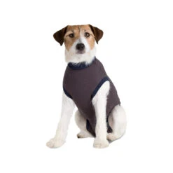 Jacketz Medical Body Suit Hond -Katten Honden Benodigdheden Winkel c7856f19127699bd56f2ee9957a8ec2923a7a606044f545364000377f1745578 3