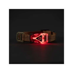 Carhartt Lighted Dog Collar -Katten Honden Benodigdheden Winkel carhartt lighted dog collar 187091 1000 none