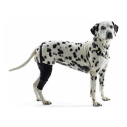 Kruuse Rehab Kniebeschermer -Katten Honden Benodigdheden Winkel cdca15870880a4df980fb86fda5f7c0c92c1a945ab52a9f5b2890079370ebd07 3