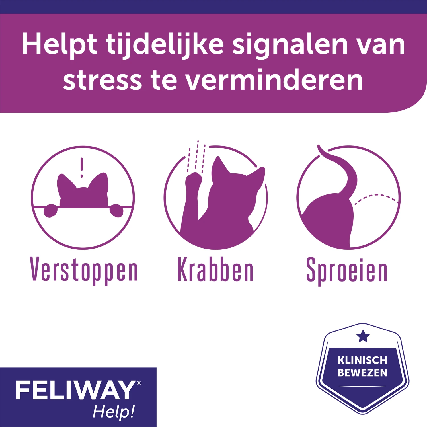 Feliway Help! 12 Feliway Help! - Afbeelding 10
