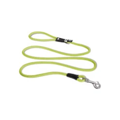 Curli Stretch Comfort Leash -Katten Honden Benodigdheden Winkel curli stretch comfort leash lime l 134831 1000 none