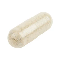 Dr. Ann's Mobility Support Advanced 11 Dr. Ann's Mobility Support Advanced -Katten Honden Benodigdheden Winkel cvxmsva6N9nNmzwCJn3XgXr1eXdOYb metaUGlsX01vYmlsaXR5X3N1cHBvcnRfYWR2YW5jZWQuanBn