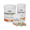 GRAU Intestinal Plus 1 GRAU Intestinal Plus -Katten Honden Benodigdheden Winkel d178ab2c0b38b39b3cb1f40ceb0270ce898f7b3816d5a41c4dbc00b0bcef8dbc 5
