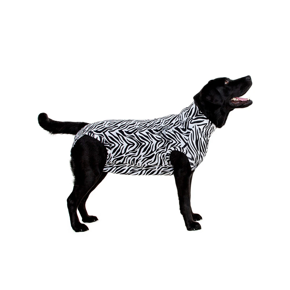 Medical Pet Shirt Hond Zebra Print 12 Medical Pet Shirt Hond Zebra Print - Afbeelding 10