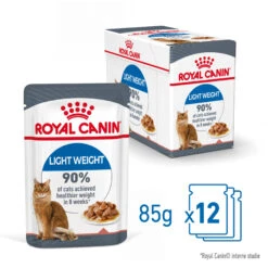 Royal Canin Light Weight Care In Gravy - Kattenvoer -Katten Honden Benodigdheden Winkel d59Fk4KgWEEiP97D6SKvpSduCkgvlD metaUkMtQ2FyZS1MaWdodC1XZWlnaHQtQ2FyZS1HcmF2eS5qcGc
