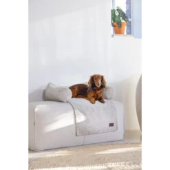 Designed By Lotte Bankkussen Ribbed -Katten Honden Benodigdheden Winkel designed by lotte bankkussen ribbed 222738 2000 none