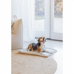 Designed By Lotte Benchkussen Gisel 22 Designed By Lotte Benchkussen Gisel -Katten Honden Benodigdheden Winkel designed by lotte benchkussen gisel 221517 1500 none