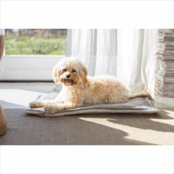 Designed By Lotte Benchkussen Gisel 21 Designed By Lotte Benchkussen Gisel -Katten Honden Benodigdheden Winkel designed by lotte benchkussen gisel 221518 1500 none