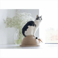 Designed By Lotte Halve Krabbol Vivi -Katten Honden Benodigdheden Winkel designed by lotte halve krabbol vivi 221562 1500 none