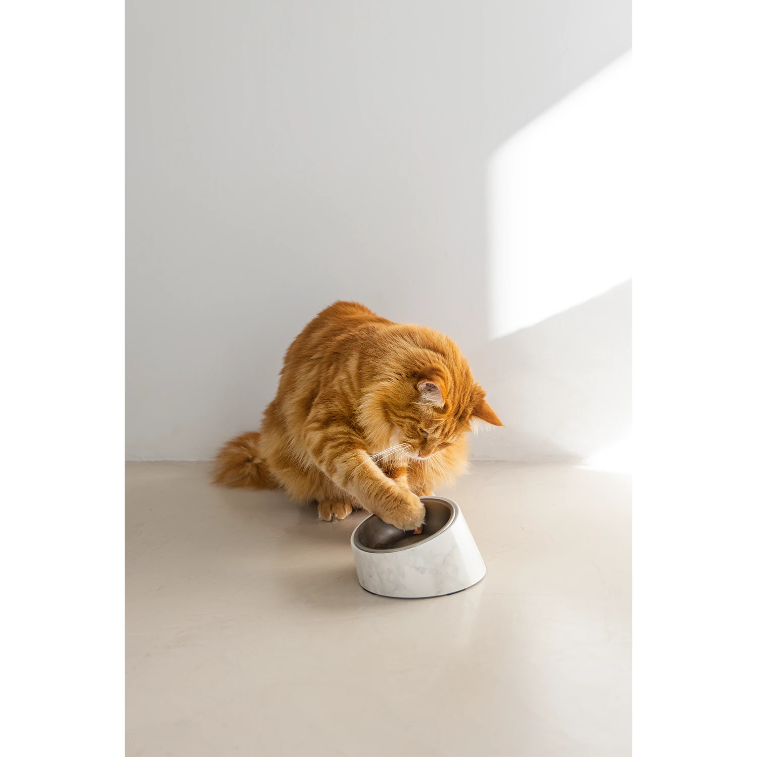 Designed By Lotte Kattenvoerbak Vita 12 Designed By Lotte Kattenvoerbak Vita - Afbeelding 10