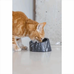 Designed By Lotte Kattenvoerbak Vita 20 Designed By Lotte Kattenvoerbak Vita -Katten Honden Benodigdheden Winkel designed by lotte kattenvoerbak vita 221522 1500 none