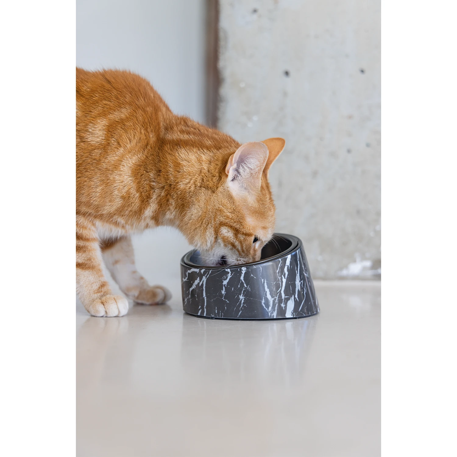 Designed By Lotte Kattenvoerbak Vita 11 Designed By Lotte Kattenvoerbak Vita - Afbeelding 9