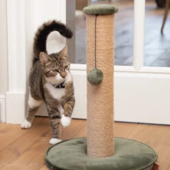 Designed By Lotte Krabpaal Yenna 25 Designed By Lotte Krabpaal Yenna -Katten Honden Benodigdheden Winkel designed by lotte krabpaal yenna 164437 2000 none