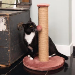 Designed By Lotte Krabpaal Yenna 27 Designed By Lotte Krabpaal Yenna -Katten Honden Benodigdheden Winkel designed by lotte krabpaal yenna 164443 2000 none