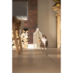 Designed By Lotte Krabplank Vicky -Katten Honden Benodigdheden Winkel designed by lotte krabplank vicky 222715 2000 none