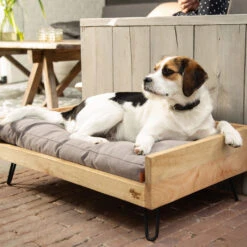 Designed By Lotte Ligmand Turana -Katten Honden Benodigdheden Winkel designed by lotte ligmand turana 170029 2000 none