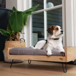 Designed By Lotte Ligmand Turana -Katten Honden Benodigdheden Winkel designed by lotte ligmand turana 170032 2000 none