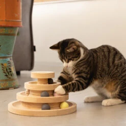 Designed By Lotte Speeltoren Mia -Katten Honden Benodigdheden Winkel designed by lotte speeltoren mia 193652 1000 none