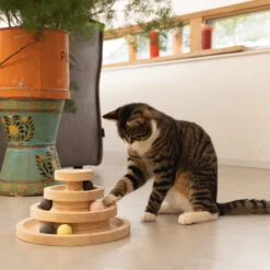 Designed By Lotte Speeltoren Mia -Katten Honden Benodigdheden Winkel designed by lotte speeltoren mia 193658 1000 none