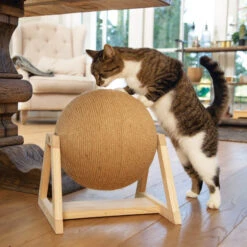 Designed By Lotte Xem Krabbol -Katten Honden Benodigdheden Winkel designed by lotte xem krabbol 164833 2000 none