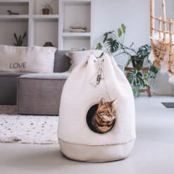 District 70 - Casa Teddy Kattenhuisje -Katten Honden Benodigdheden Winkel district 70 casa teddy kattenhuisje 220246 1000 none