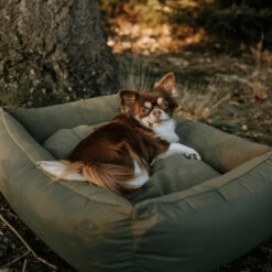 District 70 Lodge Box Bed -Katten Honden Benodigdheden Winkel district 70 lodge box bed hondenmand 190685 2000 none