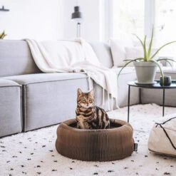 District 70 Maze -Katten Honden Benodigdheden Winkel district 70 maze 190927 0500 none