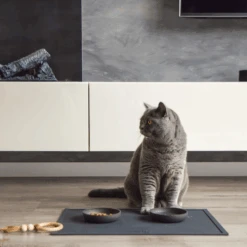 District 70 Serve Placemat 28 District 70 Serve Placemat -Katten Honden Benodigdheden Winkel district 70 serve placemat 209750 2000 none