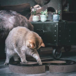 District 70 Snake 11 District 70 Snake -Katten Honden Benodigdheden Winkel district 70 snake kattenspeelgoed 190421 2000 none