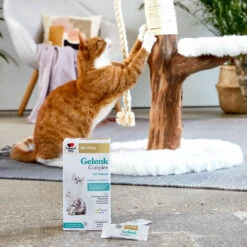 Doppelherz Gelenk Complex Voor Katten -Katten Honden Benodigdheden Winkel doppelherz gelenk complex fuer katzen 195053 1000 none