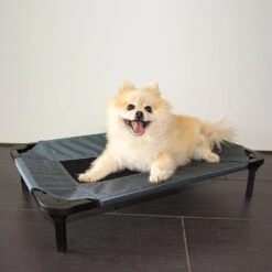 Duvo+ Hondenstretcher Relax -Katten Honden Benodigdheden Winkel duvo hondenstretcher relax 199796 1000 none